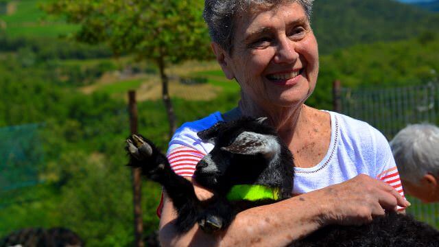 This is an up-close and personal experience on a Tuscan cashmere goat farm, overlooking vista from the hills of Chianti